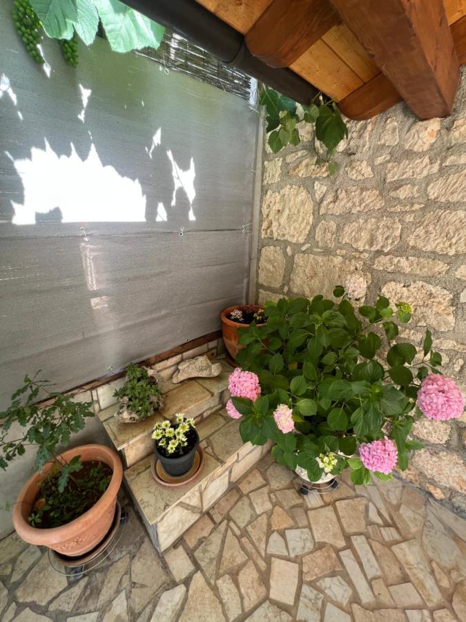 Kuca Za Odmor Matea Poreč Exterior foto