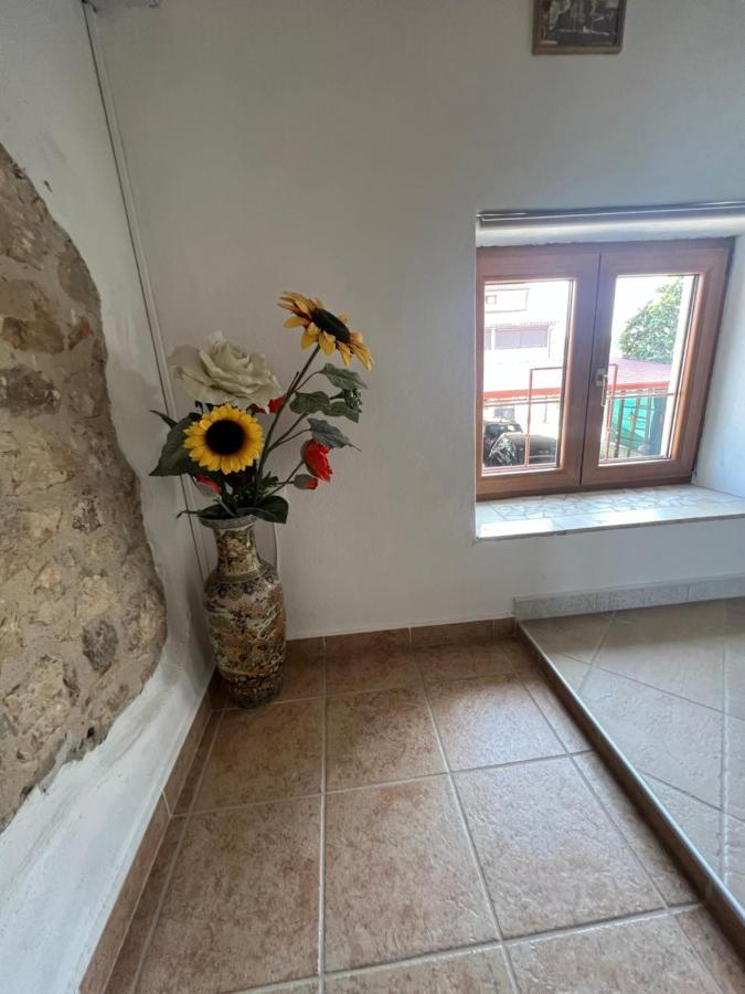 Kuca Za Odmor Matea Poreč Exterior foto